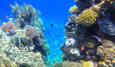 Why ocean warming matters for landlocked countries