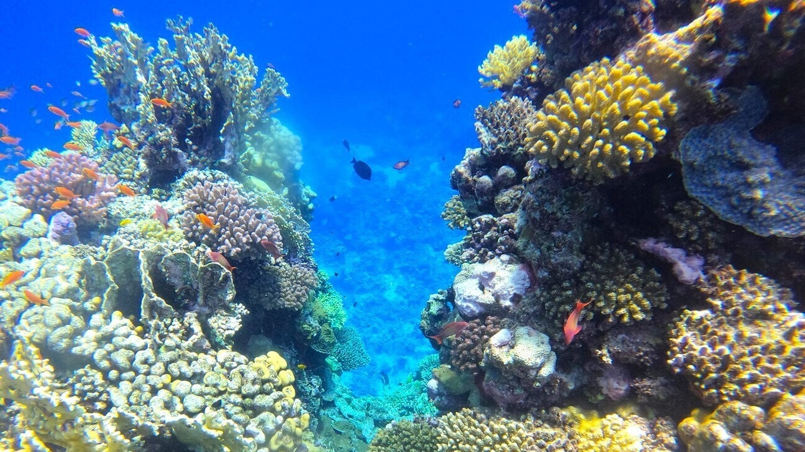 Why ocean warming matters for landlocked countries