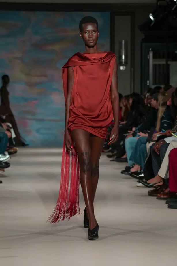 model for Puma