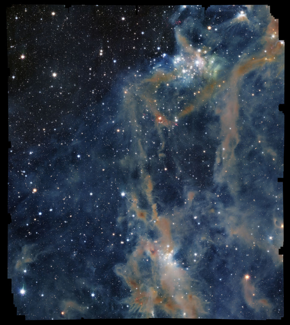 Dark cloud LDN 1641 Euclid Space Telescope, 5 November 2025 Credit: ESA/Euclid/Euclid Consortium/NASA, image processing by M. Schirmer (MPIA, Heidelberg)