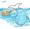 The Power Of Poop: A Whale Story