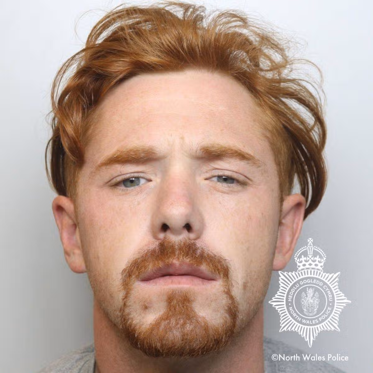 Mugshot of a white man in his 20s. He has ginger hair and a short ginger beard