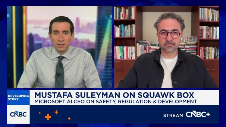 Microsoft AI CEO Mustafa Suleyman on AI: We should not create something that we can't control