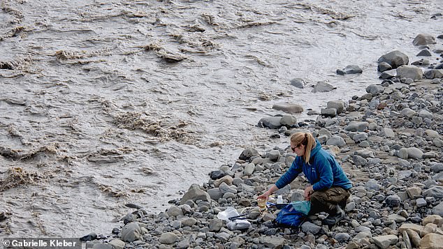Some rivers had up to 425 times the levels of methane that would be expected if they were simply absorbing the greenhouse gas from the atmosphere. Pictured: Scientists take a sample from a glacial river on Svalbard