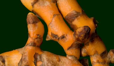 Turmeric’s Unexpected Benefits | Vogue