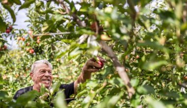 Marlene urges consumers to enjoy “gift of nature” | News