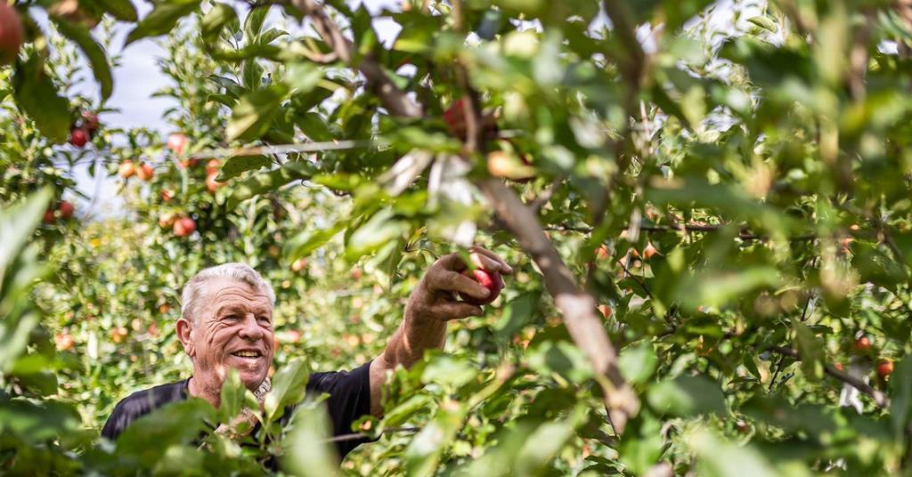 Marlene urges consumers to enjoy “gift of nature” | News