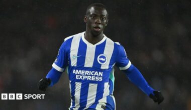 Yankuba Minteh, wearing Brighton's blue-and-white-striped kit, runs during a Premier League match