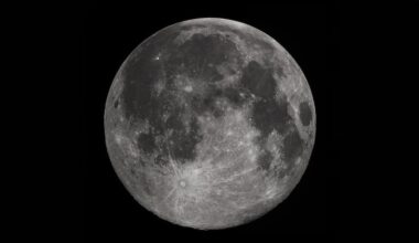 Microbes may survive at the Moon's south pole – Physics World