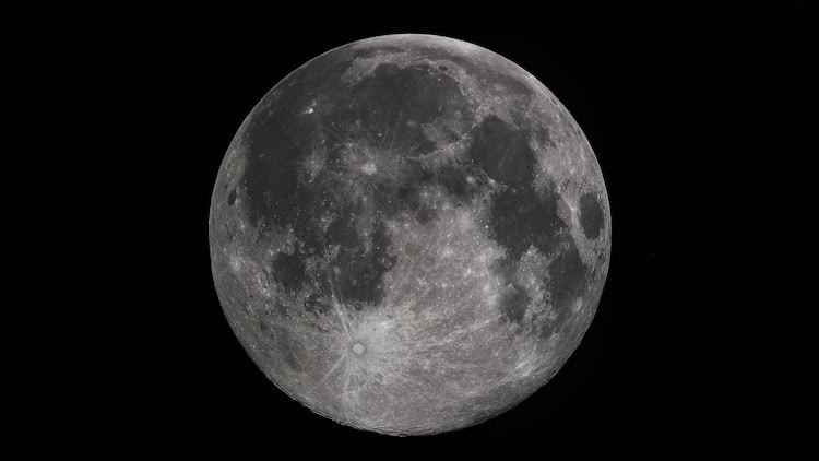 Microbes may survive at the Moon's south pole – Physics World