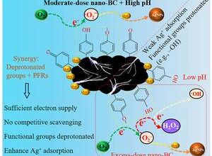 Nano-biochar uses pH and superoxide radicals to transform toxic silver ions in water