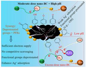 Nano-biochar uses pH and superoxide radicals to transform toxic silver ions in water