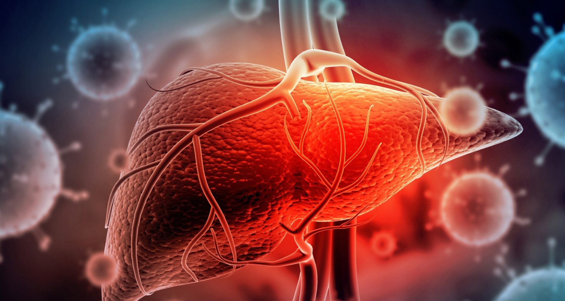 Study: Global and national trends in alcohol-attributable deaths from 1990 to 2023 and projections to 2050. Image Credit: Explode / Shutterstock