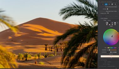 A desert landscape with sand dunes and palm trees is displayed in photo editing software, showing a color grading panel with a color wheel and adjustment sliders.