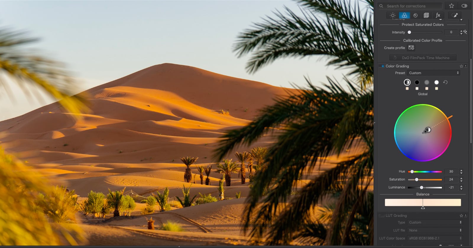 A desert landscape with sand dunes and palm trees is displayed in photo editing software, showing a color grading panel with a color wheel and adjustment sliders.