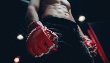 Study: Weigh-In to Fight Night: Dietary Strategies of Professional MMA Fighters. Image Credit: Parilov / Shutterstock
