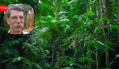 He began studying the Amazon in the 1970s; 50 years later, Philip Fearnside’s research has calculated the costs of losing the Amazon on account of deforestation, dams and highways
