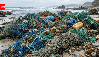 In 2013, three friends began collecting Chilean fishing nets for skateboards; Bureo has since recycled more than 7.2 million pounds into more than 13 million end-products |