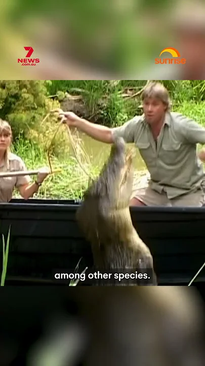 Twenty year anniversary of Steve Irwin's death - YouTube