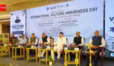 Yadav for sustained scientific intervention and govt support for vulture conservation | Chandigarh News