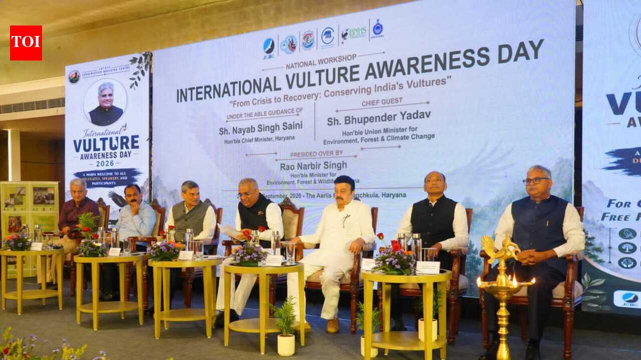 Yadav for sustained scientific intervention and govt support for vulture conservation | Chandigarh News