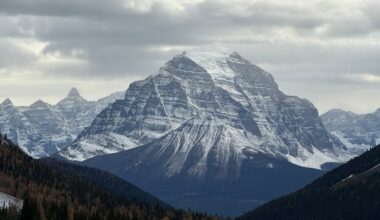 Don't want to slip and fall off the mountain? There's an app for that