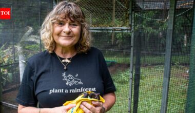 An Australian woman bought cleared sugarcane land and planted trees; 10 years later, 119,000 trees transformed it into a rainforest home to flying-foxes | World News