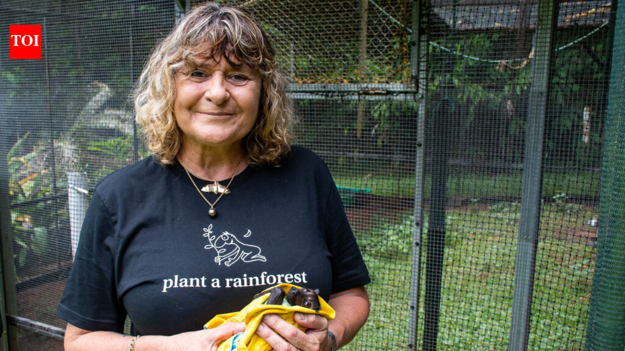 An Australian woman bought cleared sugarcane land and planted trees; 10 years later, 119,000 trees transformed it into a rainforest home to flying-foxes | World News