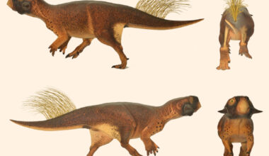 Model of Psittacosaurus sp. based on skin and pigmentation patterns on the specimen from the Senckenberg Museum, Germany. Image credit: Jakob Vinther et al.