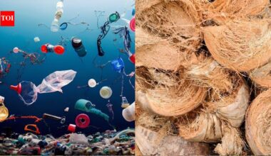 This rare coconut waste discovery may clean up our oceans for good |