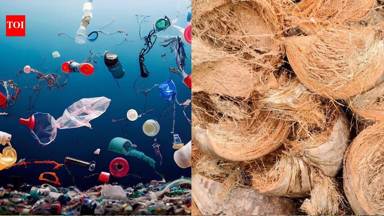 This rare coconut waste discovery may clean up our oceans for good |