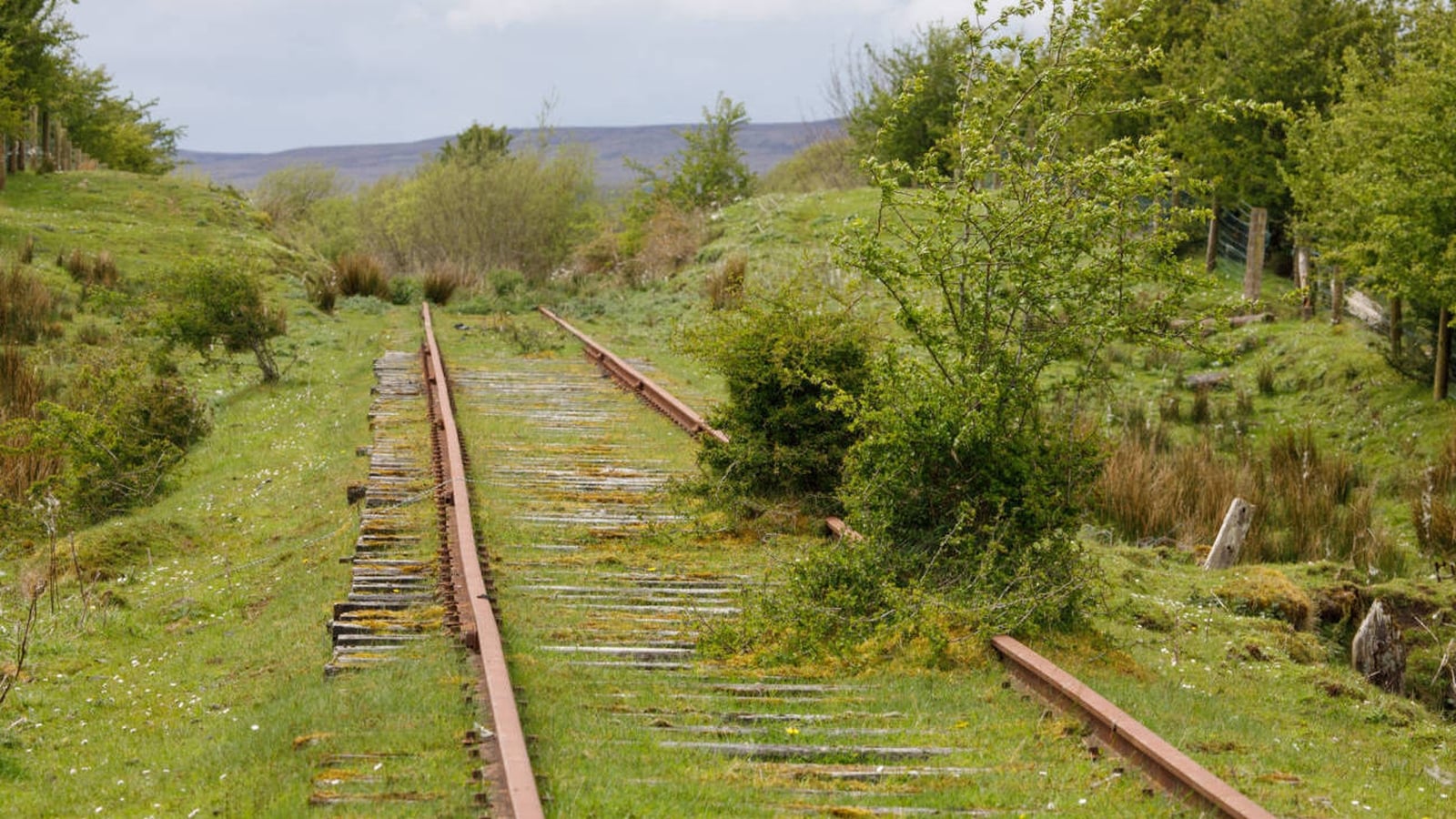 Sligo Greenway back on track after Irish Rail U-turn