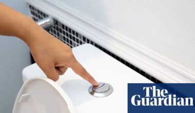 Flushing the toilet can release a ‘plume’ of breathable pathogens – and closing the lid won’t stop their escape | Australia news