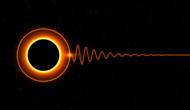 Palomino Ylla et al. found a way to check for black hole hair using changes in ringdown waves. Image credit: Nagoya University.