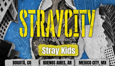 A poster for the K-pop boy group Stray Kids