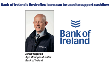 Bank of Ireland's Enviroflex loans can be used to support cashflow