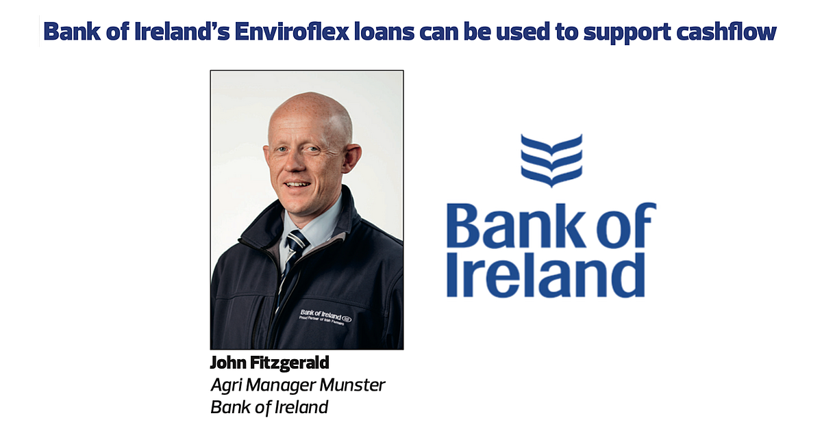 Bank of Ireland's Enviroflex loans can be used to support cashflow