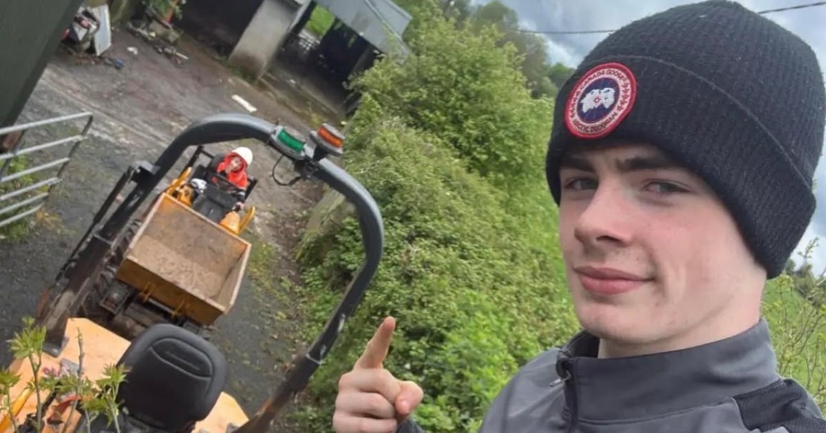 Gardaí investigating hit-and-run death of Bryan Lowe (17) close to making arrests – The Irish Times