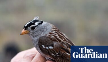 Can an entire Arctic ecosystem evolve to adapt to the climate crisis? | Alaska