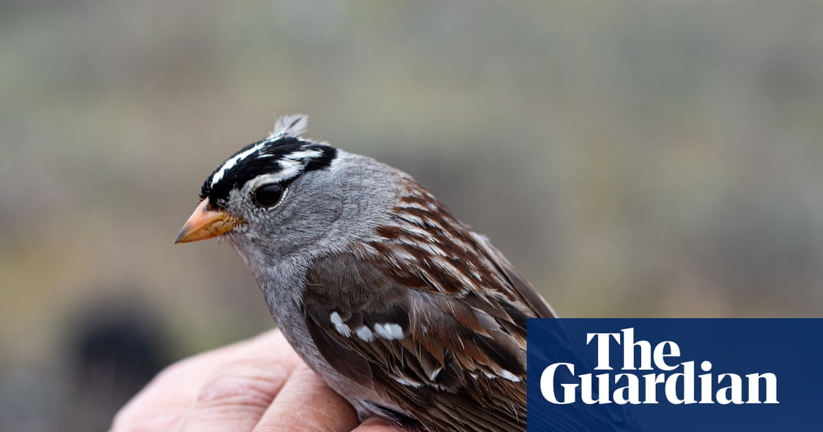 Can an entire Arctic ecosystem evolve to adapt to the climate crisis? | Alaska
