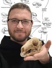 Jaws tell tales: How ancient armoured fish munched prey whole