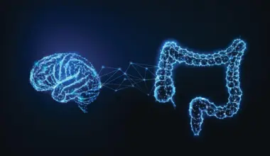 Study of 1.9 million people finds a striking link between ADHD and gut problems