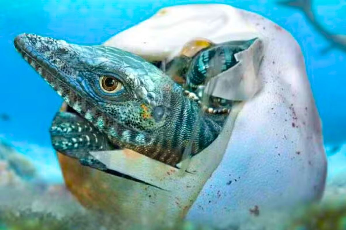 this giant fossil egg upends what we thought we knew about marine reptiles