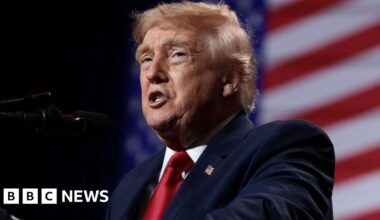 Trump's comments on a united Ireland may have targeted audience across the Atlantic - BBC