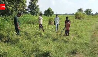 Two deer found dead in West Champaran, leopard suspected | Patna News