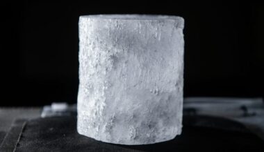 Stardust Trapped in Antarctic Ice
