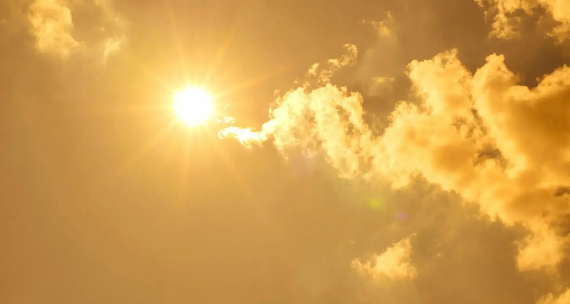 Here is the real culprit behind the 739 deaths during the Chicago heatwave
