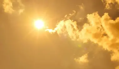 Here is the real culprit behind the 739 deaths during the Chicago heatwave