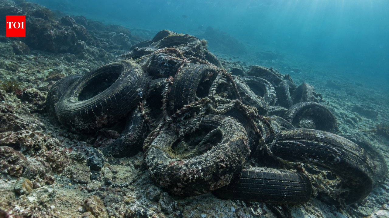 In the 1970s, Washington tied thousands of discarded tyres together across 20 Puget Sound reefs to improve bottom fishing; decades later, the ropes failed and more than 100,000 tyres remained underwater | World News