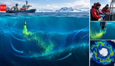 Scientists released a trace gas into the Southern Ocean; years of measurements revealed how slowly deep water mixes across the ocean﻿ |